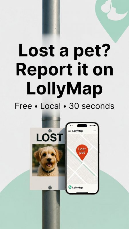 lollymap lost pet